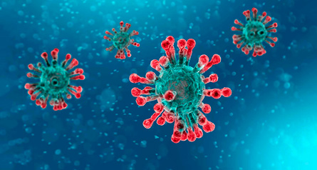 coronavirus1